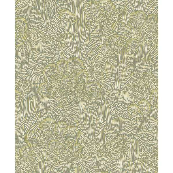 Storeys Brazil BA26063