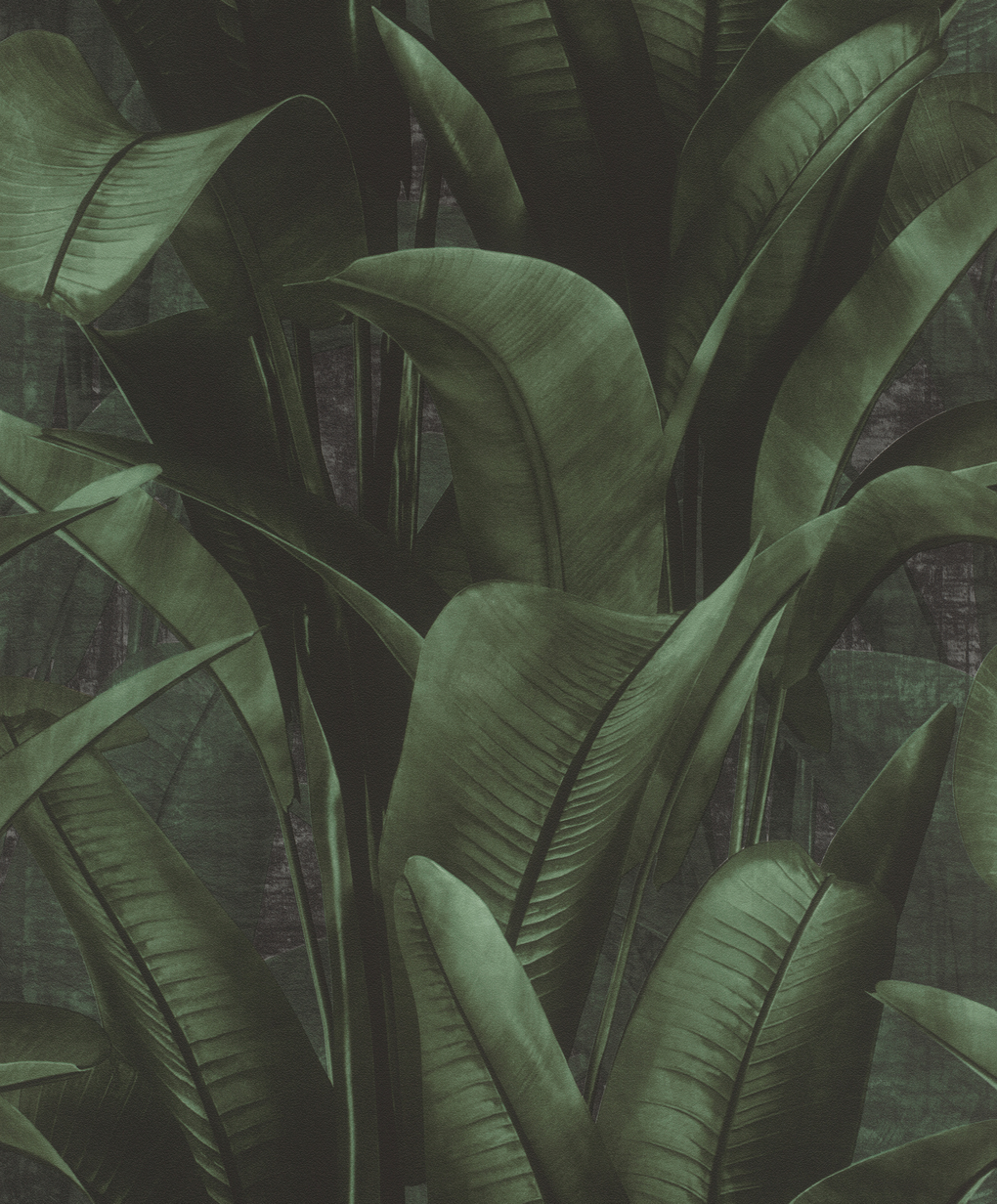 Storeys  Back To Nature 416237