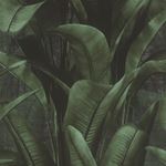 Storeys Back To Nature 416237