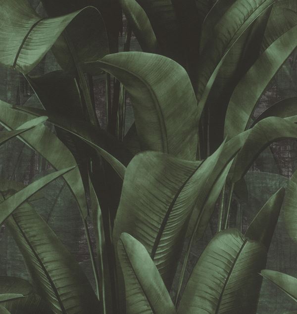 Storeys Back To Nature 416237