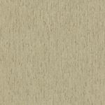 Storeys Back To Nature 571110