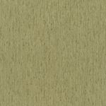 Storeys Back To Nature 571127