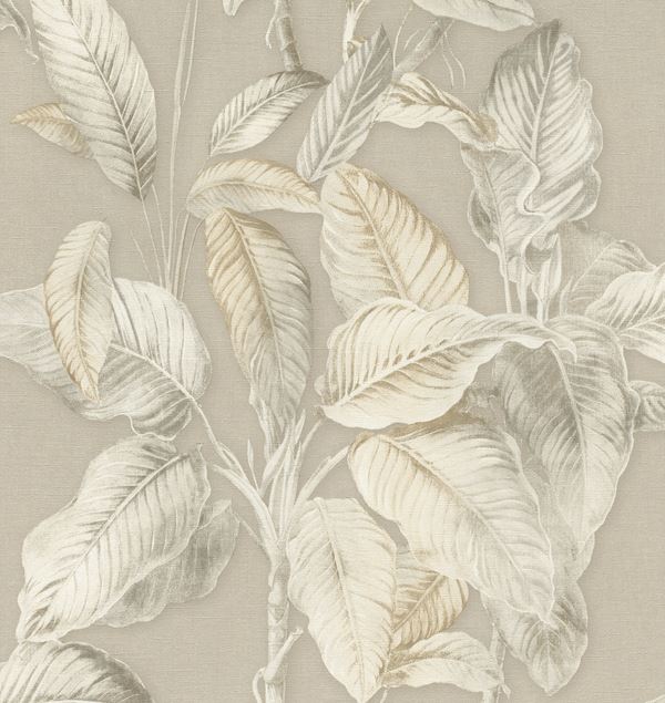 Storeys Back To Nature 571455