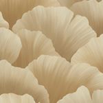 Storeys BELIZE BZ3007