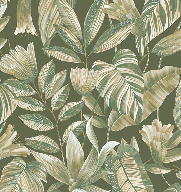 Storeys BELIZE BZ3106