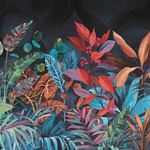 Storeys BELIZE BZ6001