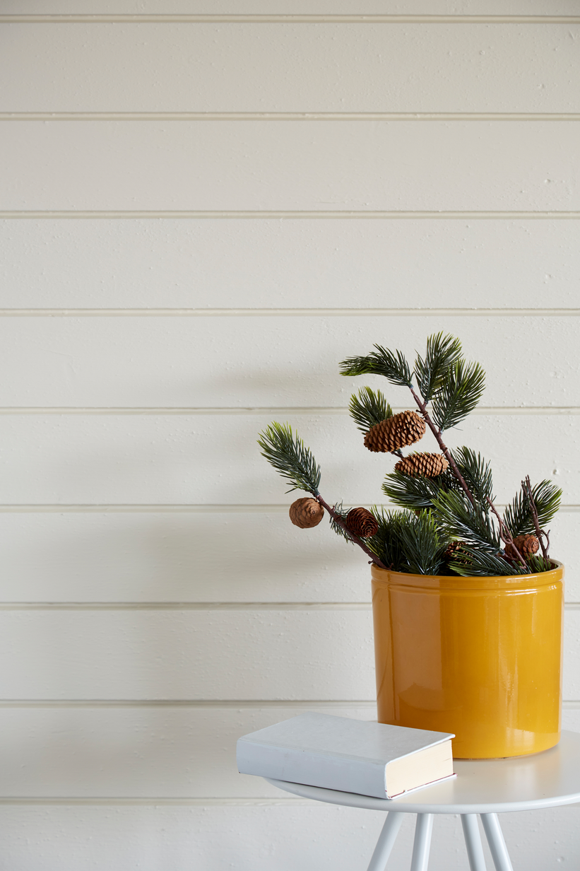 Carrara FR6125[1].jpg