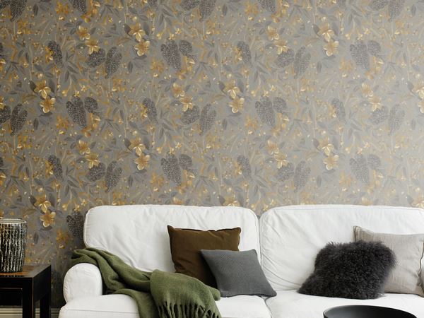 Storeys Curiosity 538229