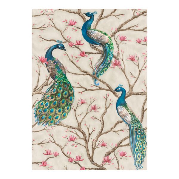 Storeys Absolutely Chic DD114647