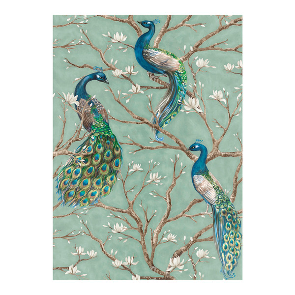 Storeys Absolutely Chic DD114648