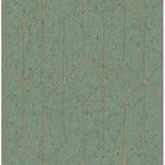 Storeys Arber DL 26704