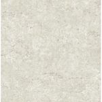 Storeys Arber DL 26751