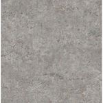 Storeys Arber DL 26753