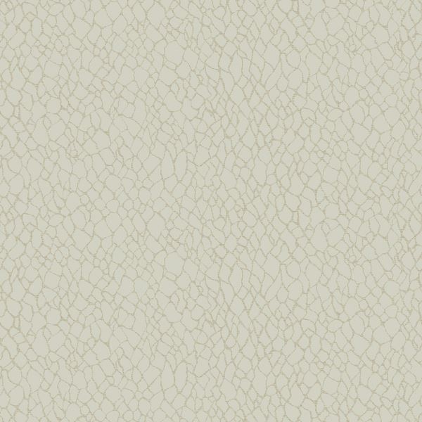 Storeys BOUTIQUE DWP0232-01