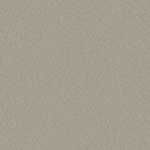 Storeys BOUTIQUE DWP0232-02