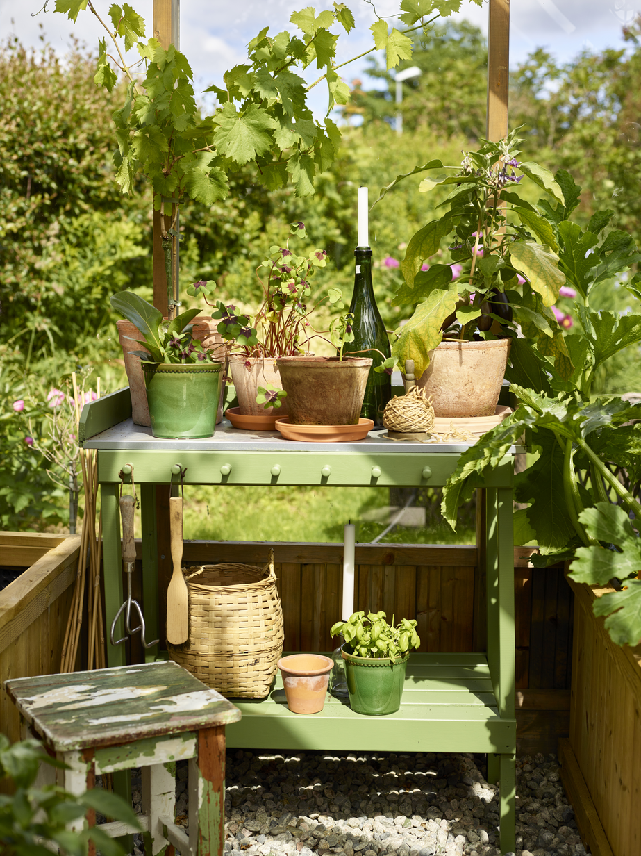 Evighet FR2595 5_10.jpg