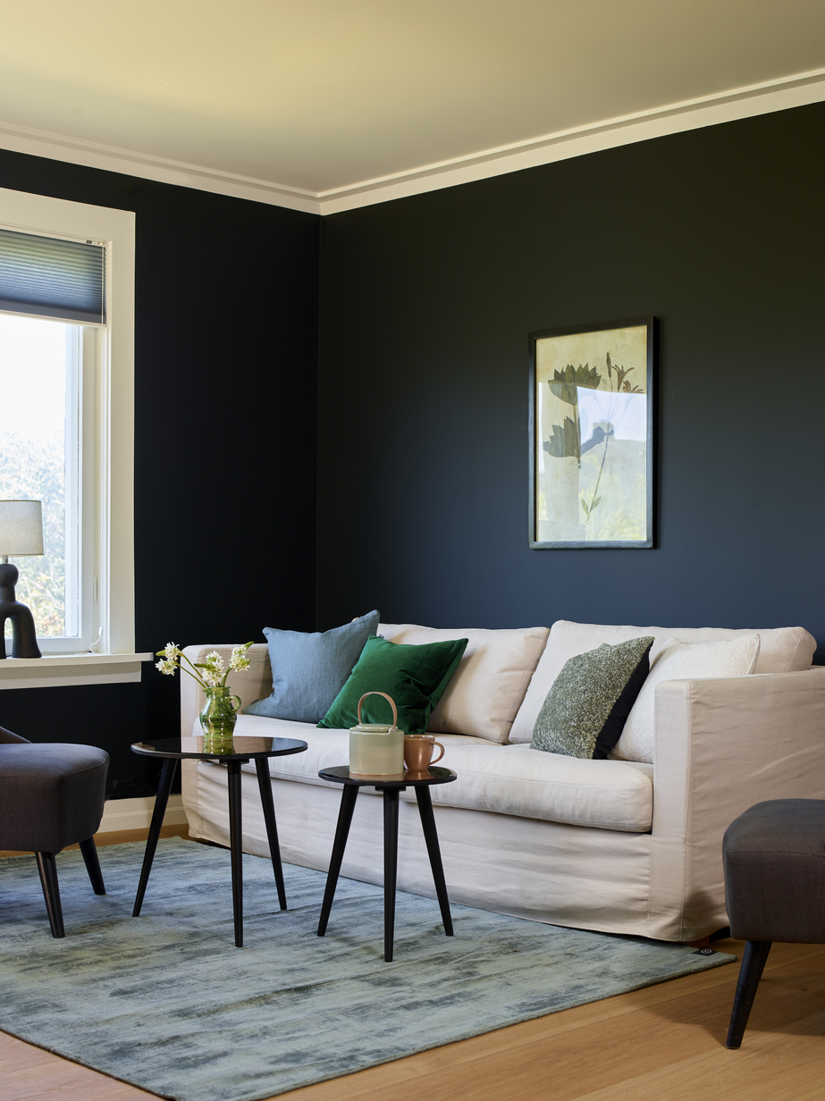 Fargerike ÅF 23 F6_02-v2.jpg