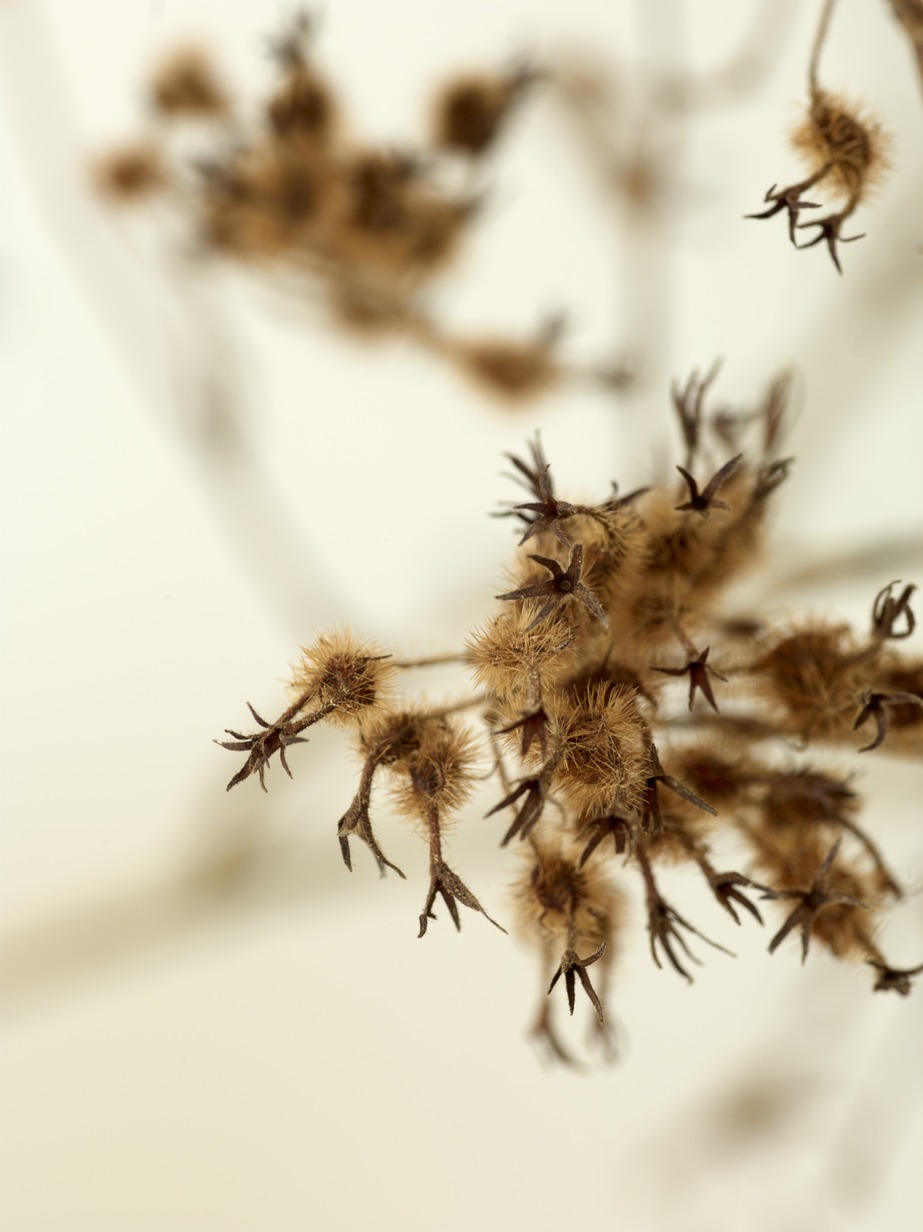 FArgerike ÅF 2434174.jpg