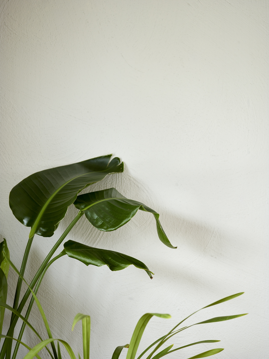 Fargerike mur Klippe FR9146_05.jpg