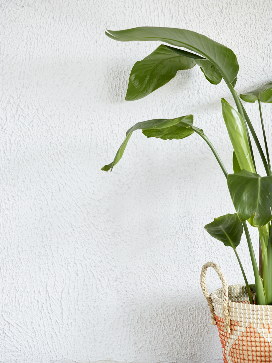 Fargerike mur Mild frost FR9148_05.jpg