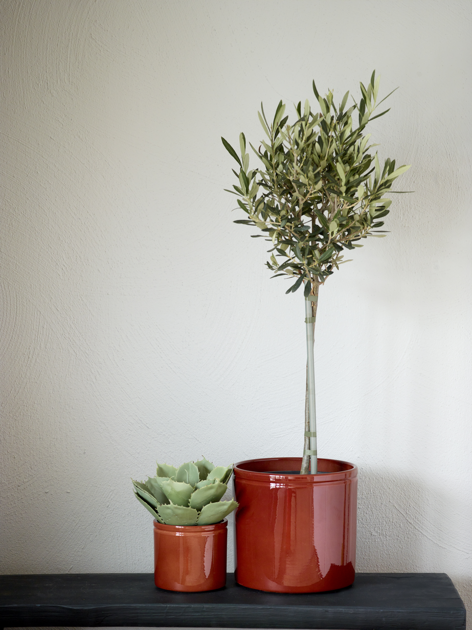 Fargerike mur Skygge FR1223_02.jpg