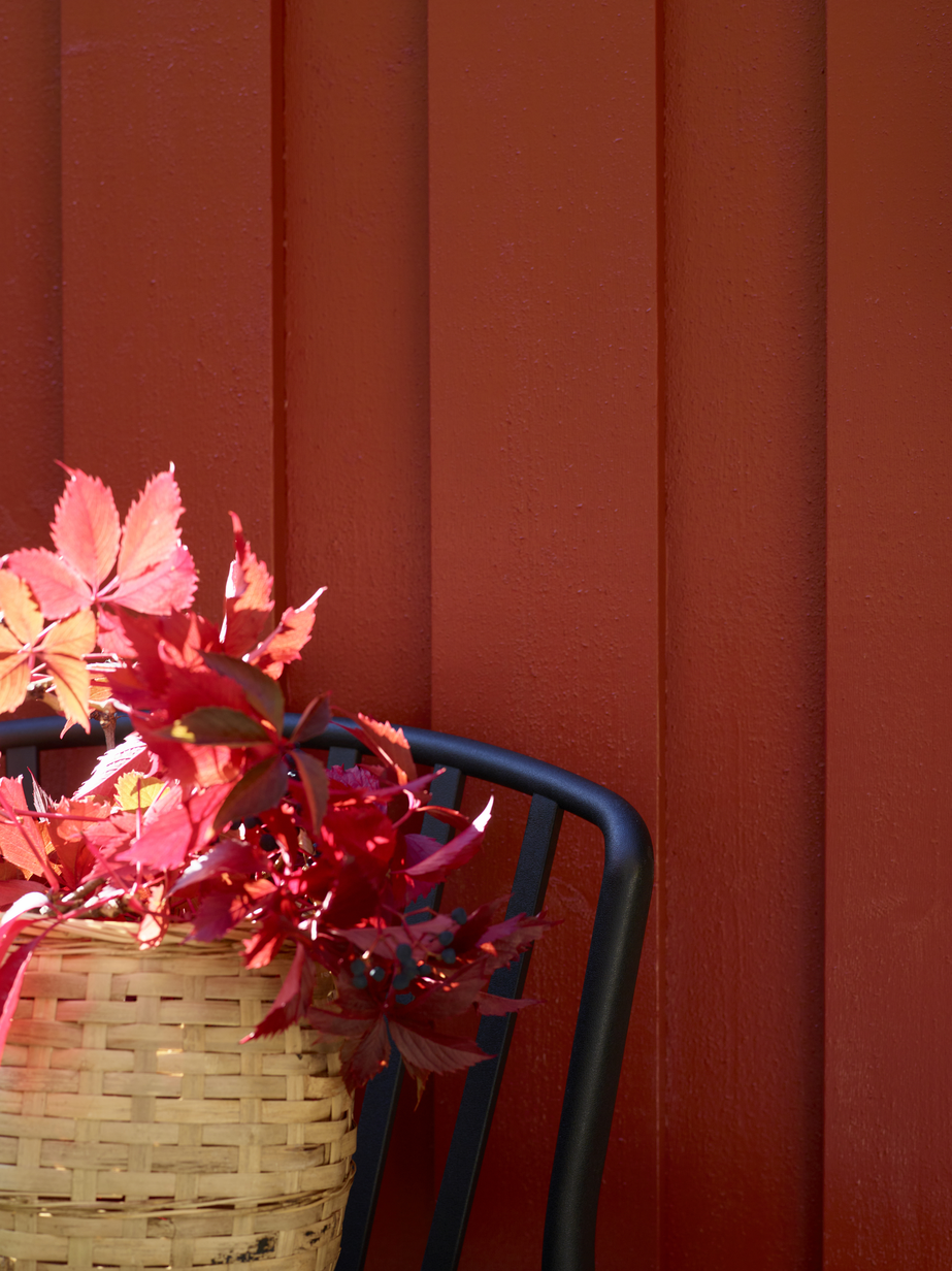 Fargerike panel eksteriør FR1949 Magi 02.jpg