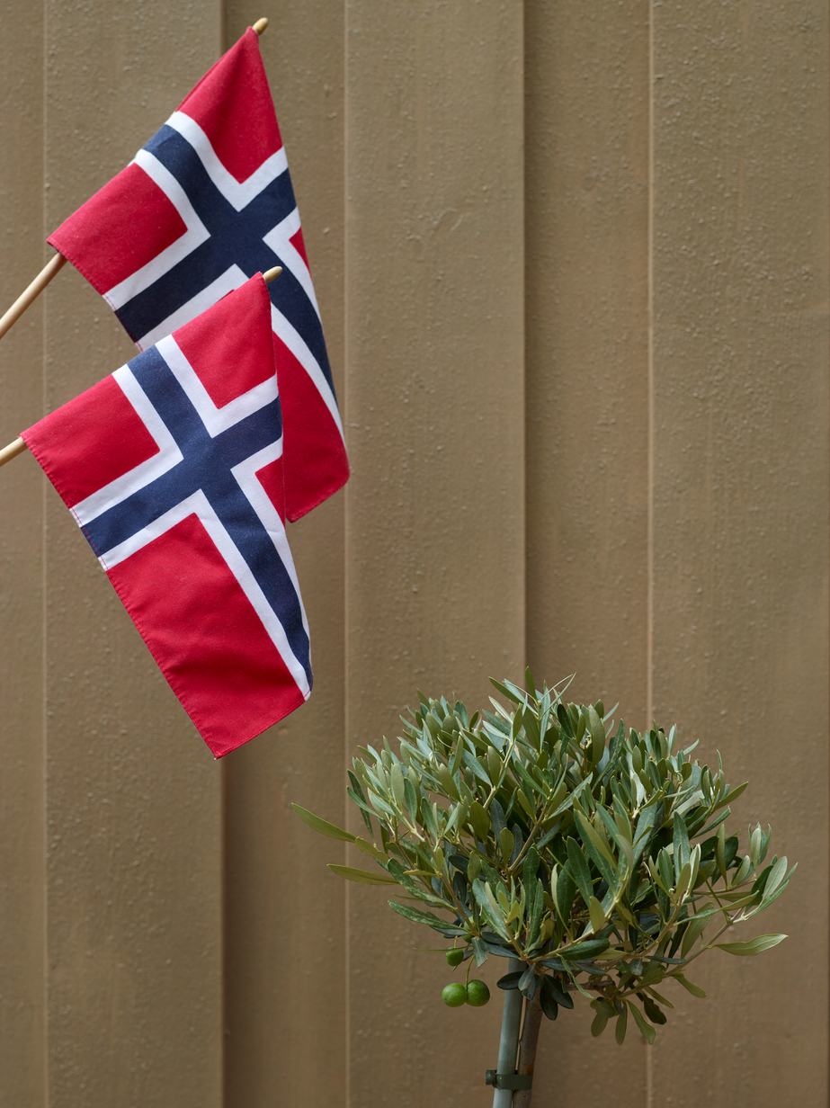 Fargerike panel eksteriør FR5007 Patina 04.jpg