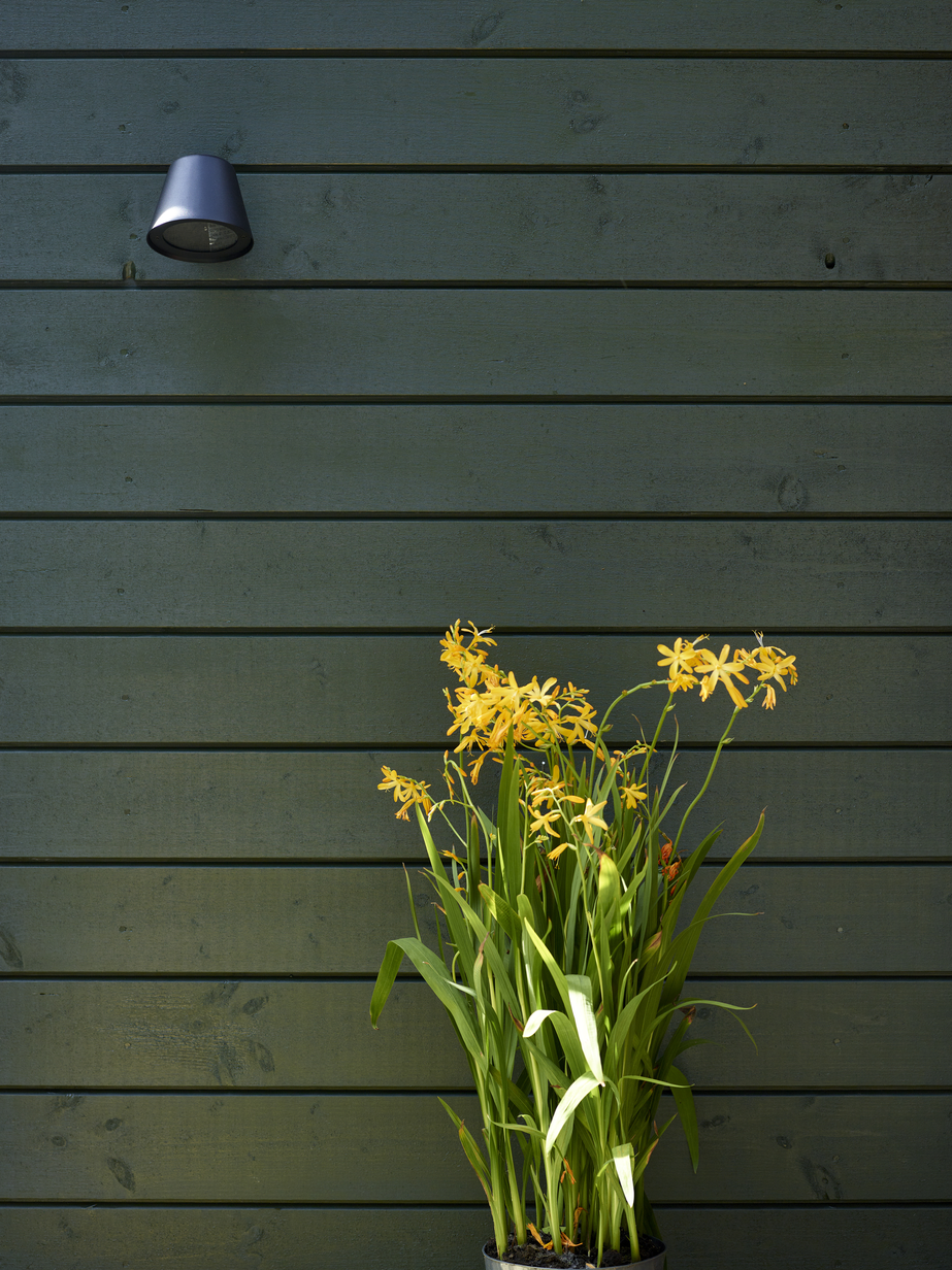 Fargerike panel eksteriør FR5011 skoggrønn 05.jpg