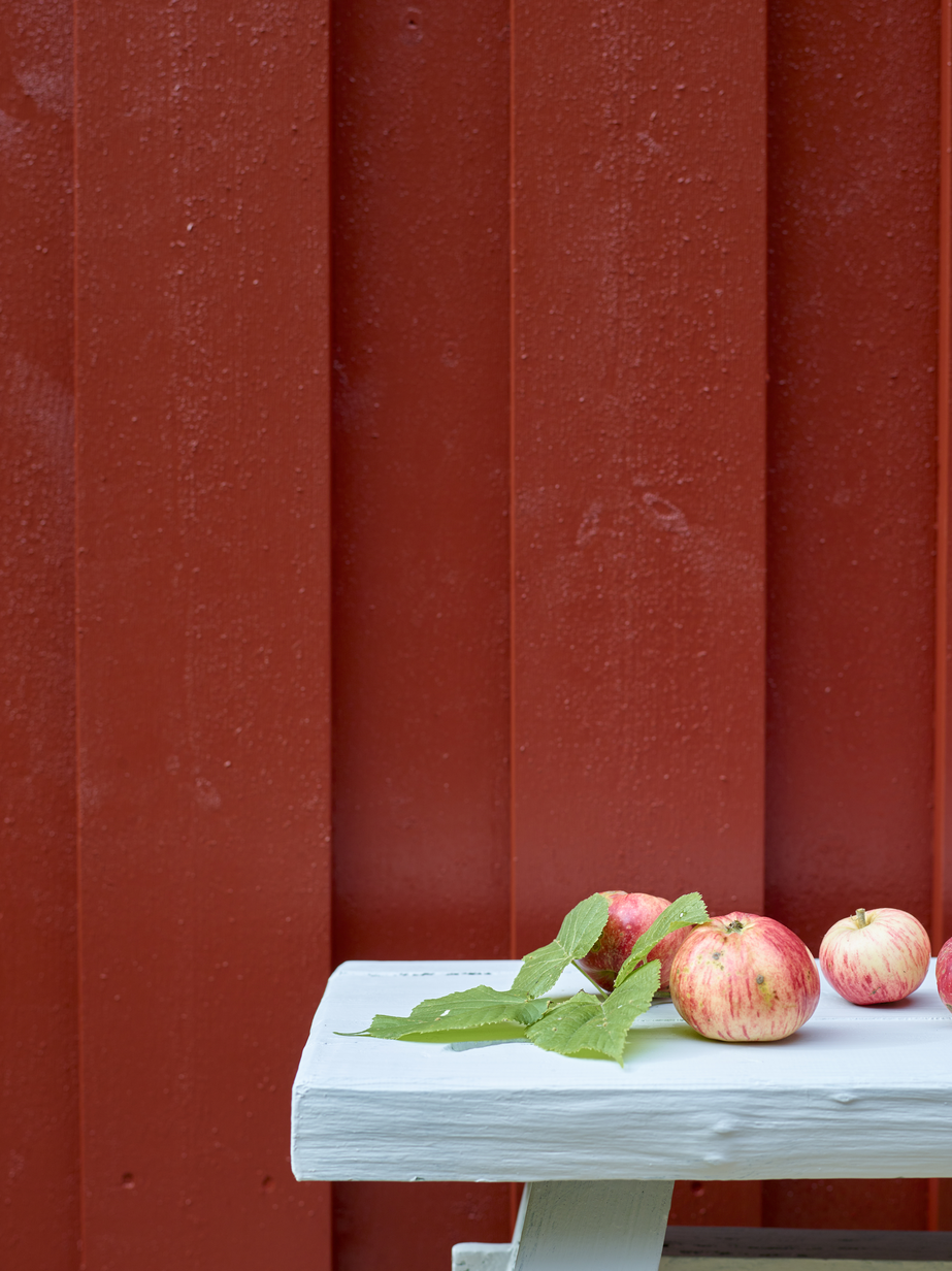 Fargerike panel eksteriør FR5060 Villarød 02.jpg