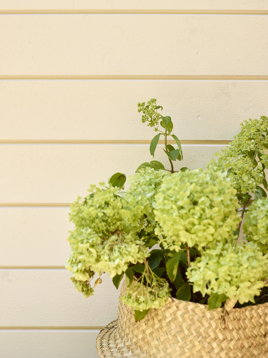 Fargerike panel eksteriør FR6100 Antikk hvit 02.jpg