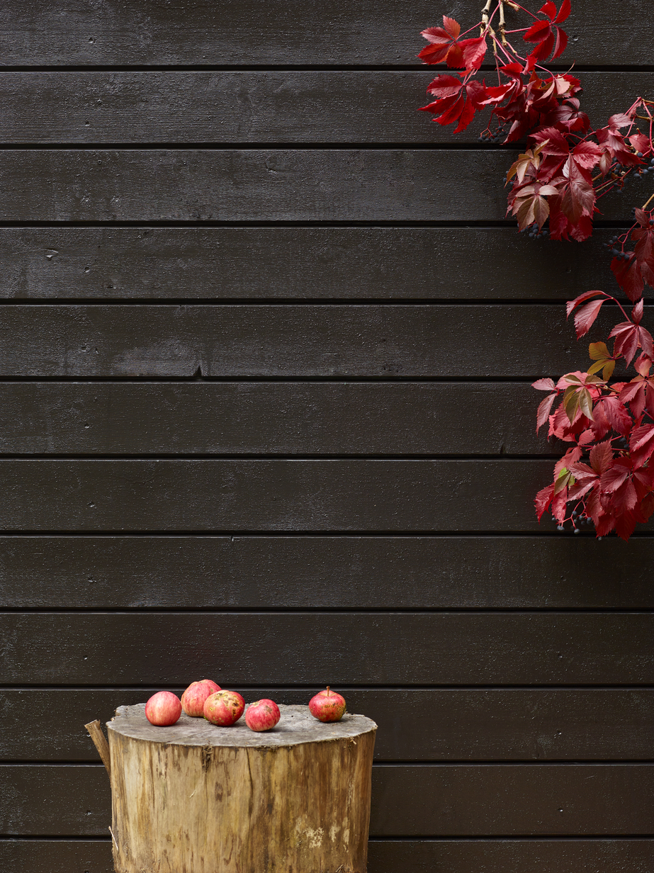 Fargerike panel eksteriør FR6145 Mårbrun 01.jpg