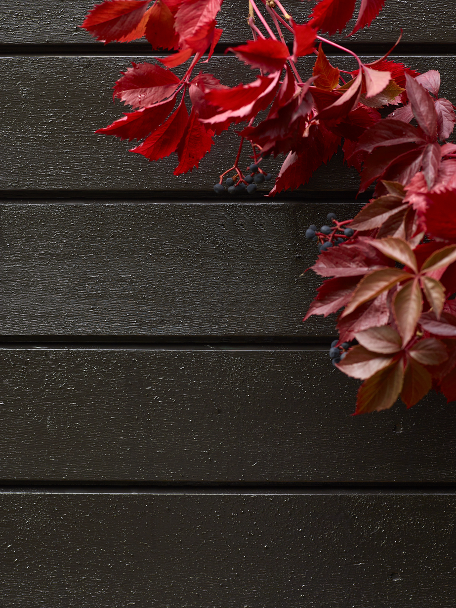 Fargerike panel eksteriør FR6145 Mårbrun 02.jpg