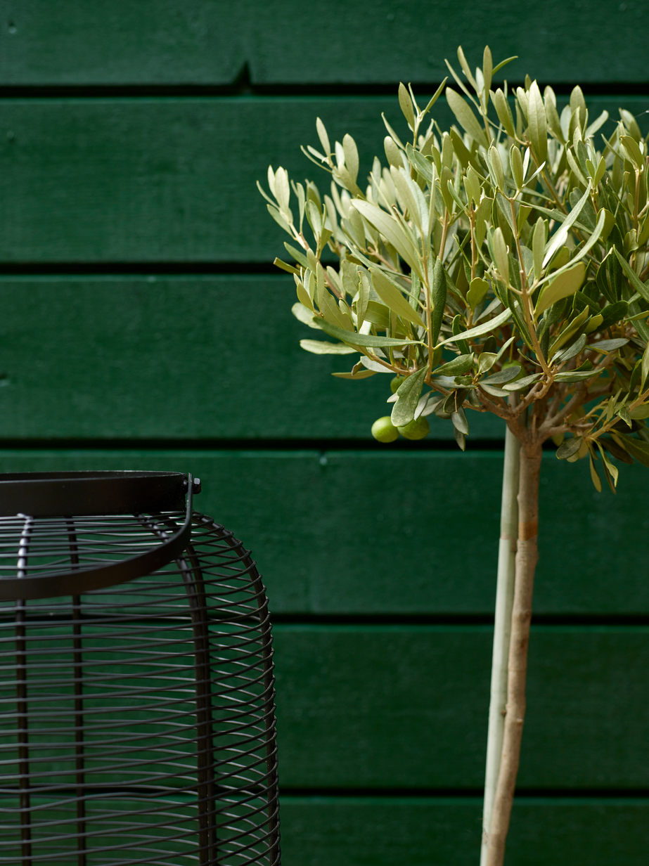 Fargerike panel eksteriør FR6235 Pernille 02.jpg