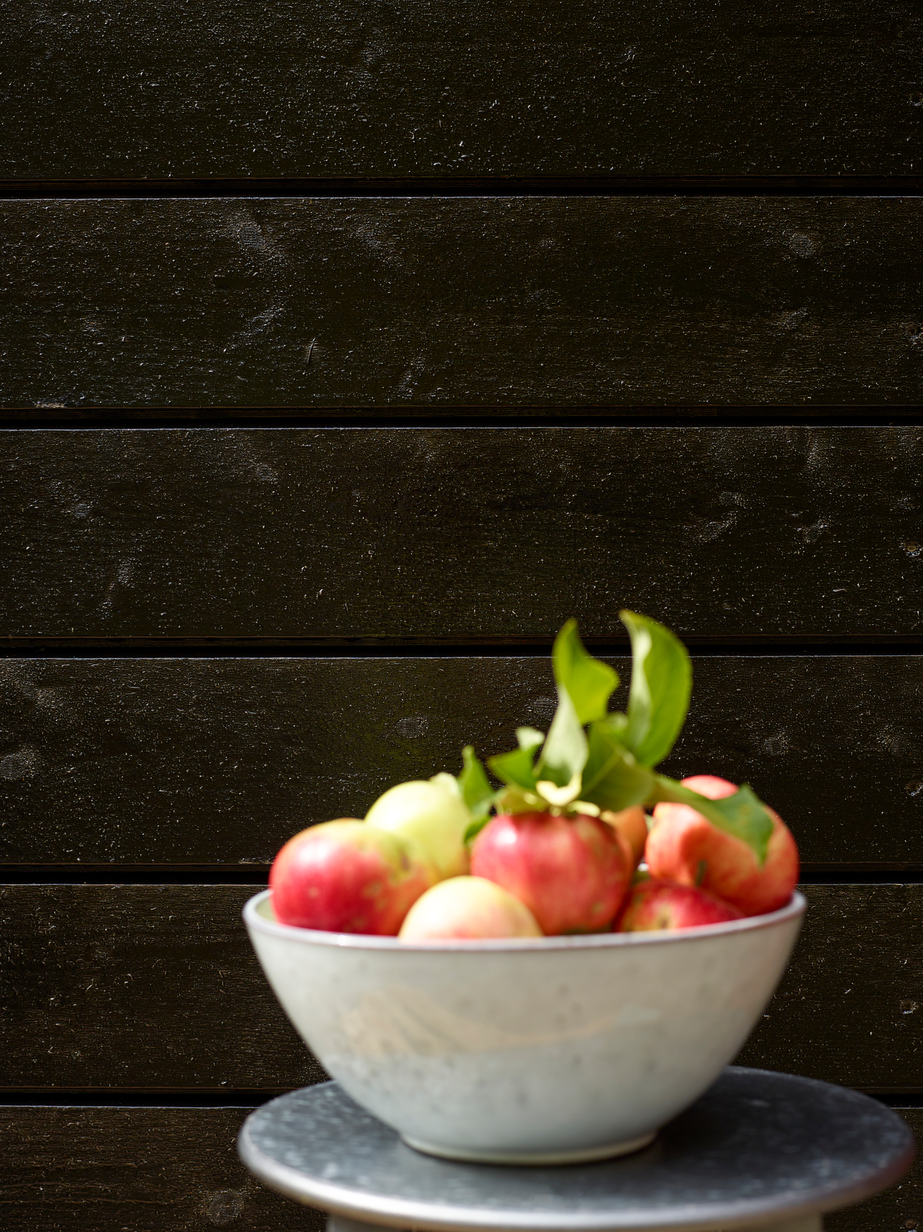 Fargerike panel eksteriør FR9070 Stølen 02b.jpg