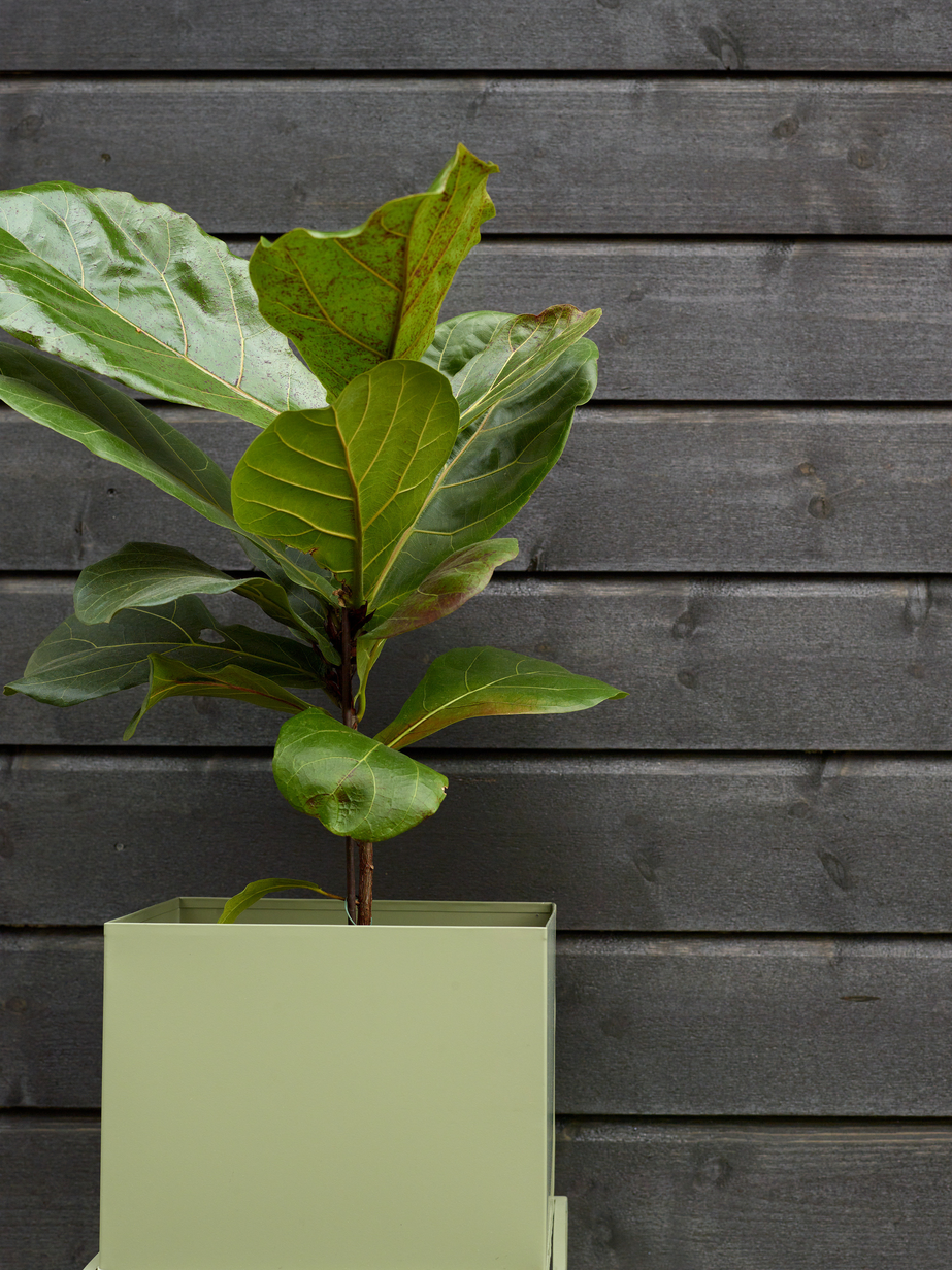 Fargerike panel ekstriør Tjuvenborg 05.jpg