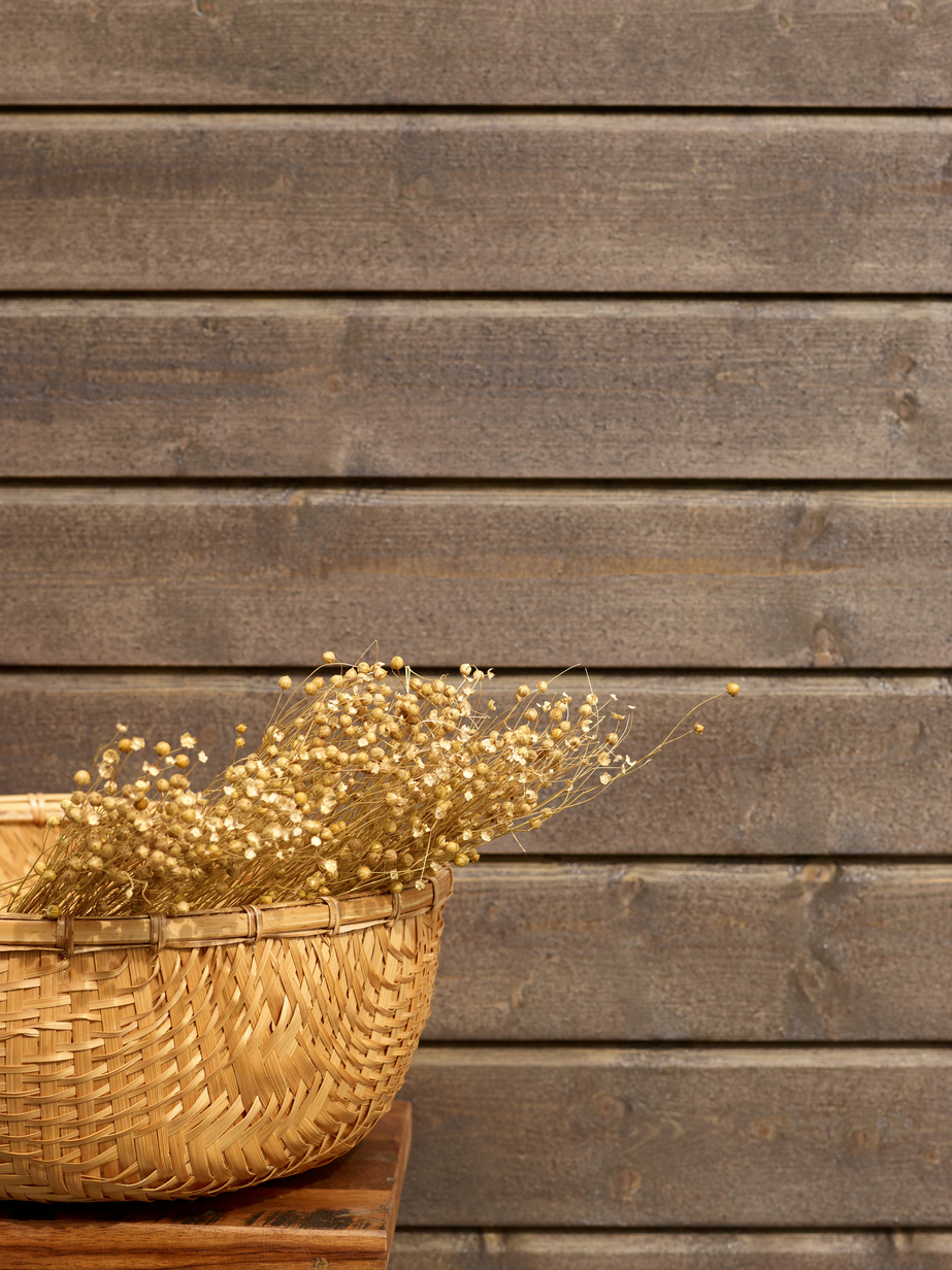 Fargerike panel ekstriør vår 22 FR0025 Kjønrøk 03.jpg