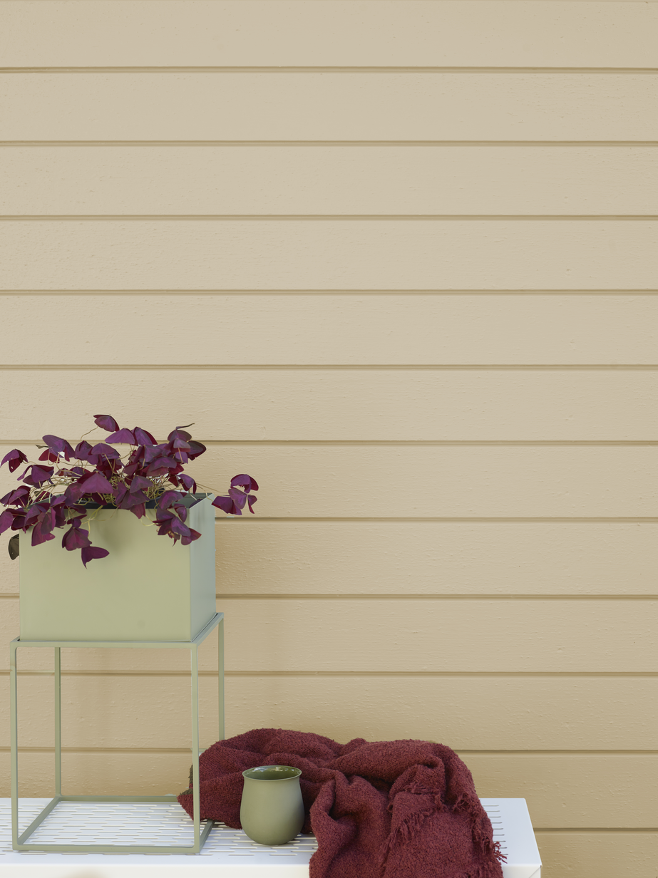 Fargerike panel ekstriør vår 22 Savanne FR6130_03.jpg