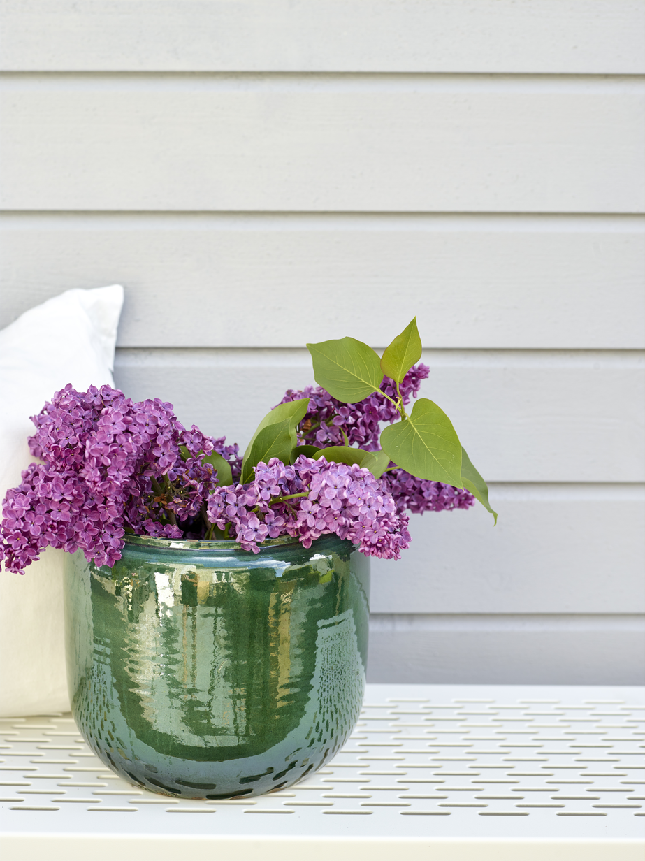 Fargerike panel ekstriør vår 22 Skyfritt FR2453_04.jpg