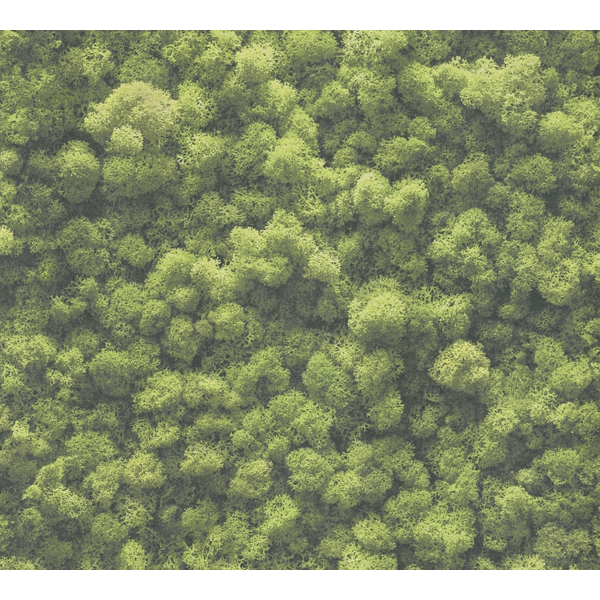 Storeys Flourish 39405-1