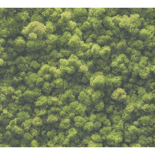 Storeys Flourish 39405-1