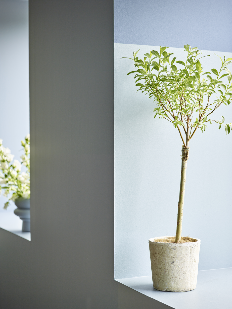 FR ÅF Dempet Blå FR2604 2654297.jpg