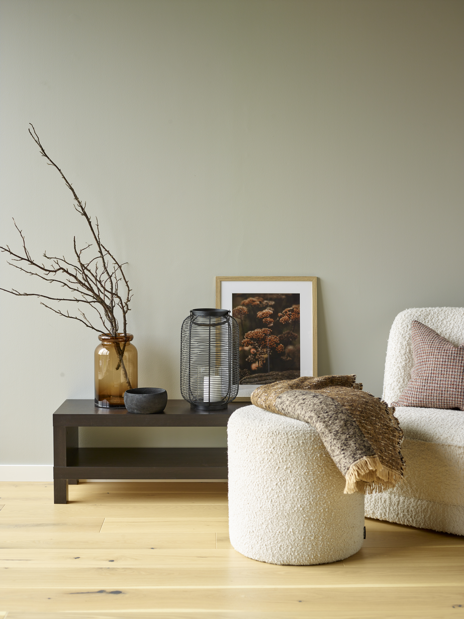 FR1129 Grå ara_01.jpg