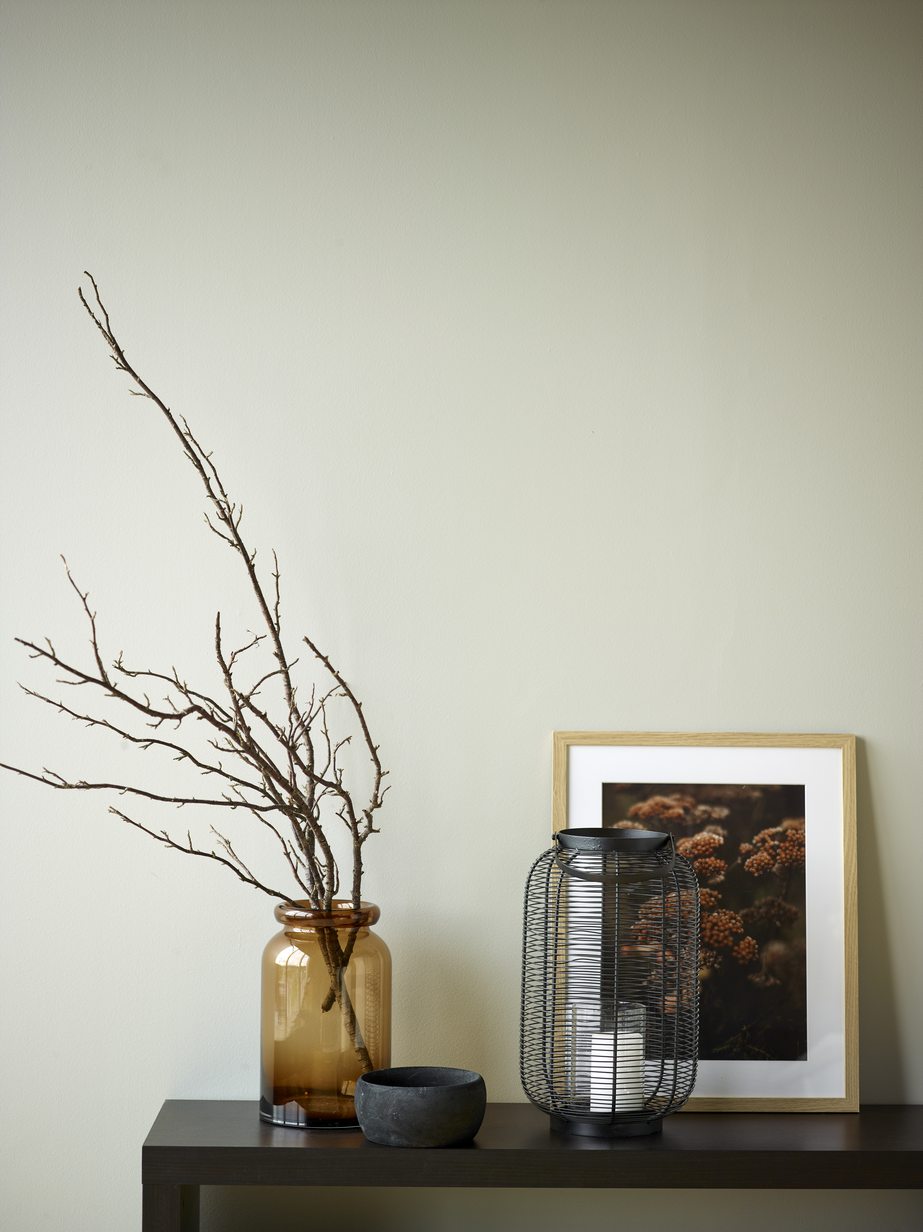 FR1129 Grå ara_02.jpg