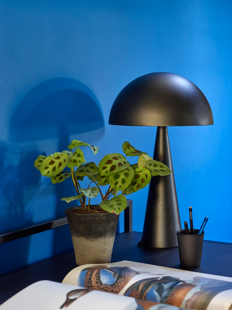 FR1143 Blånedslag 03.jpg