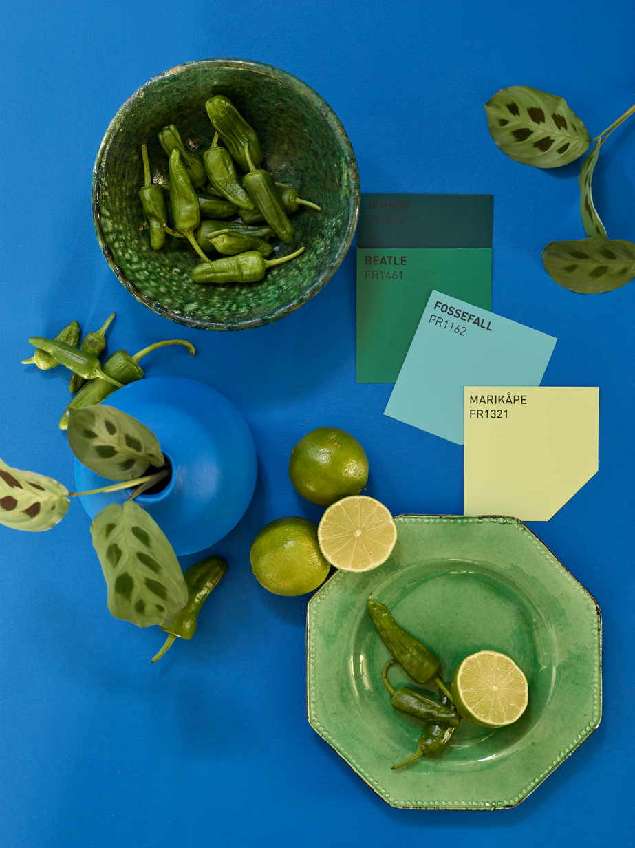 FR1143 Blånedslag kolasj 01.jpg