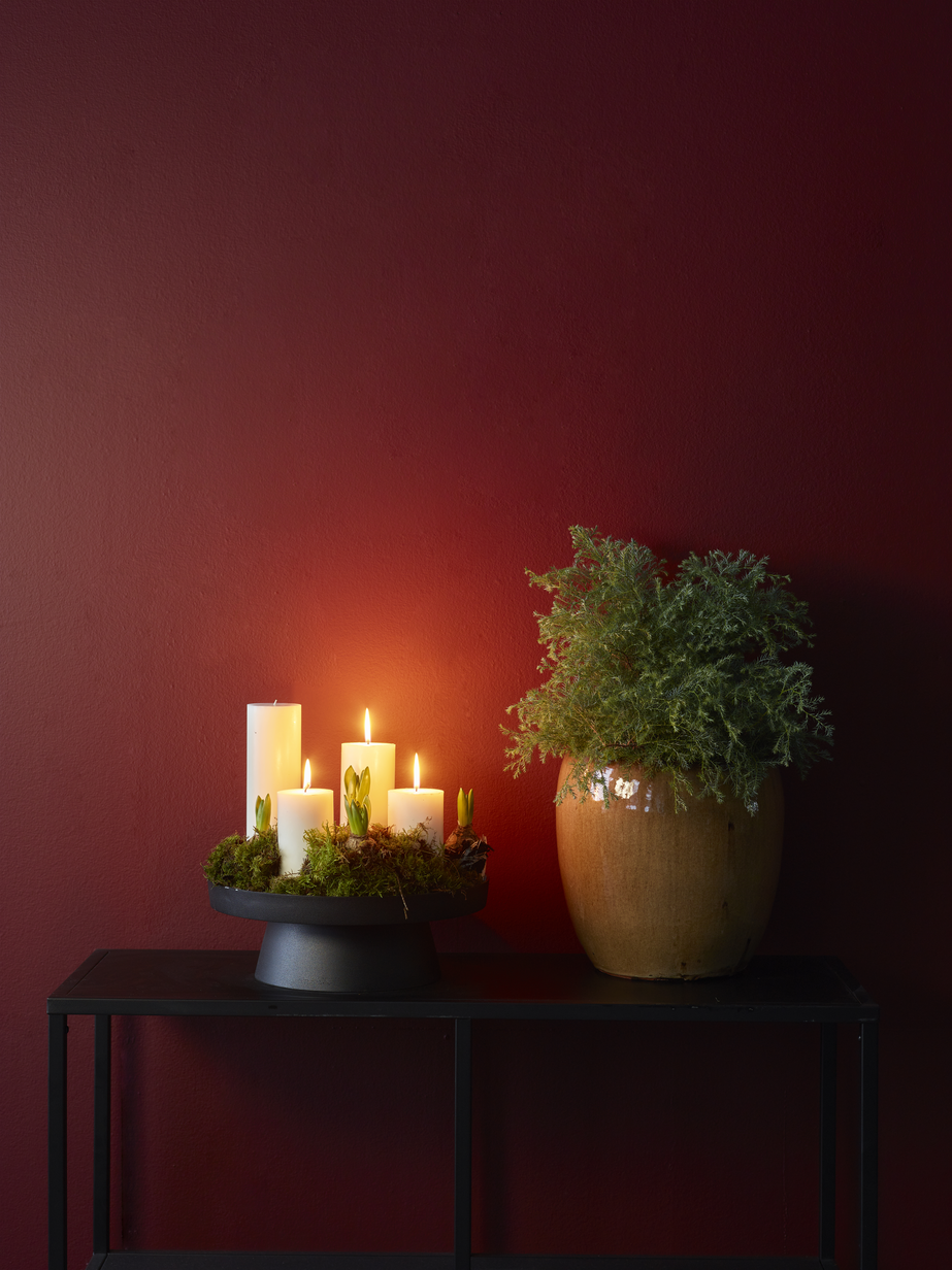 FR1197 Jasper advent3.jpg