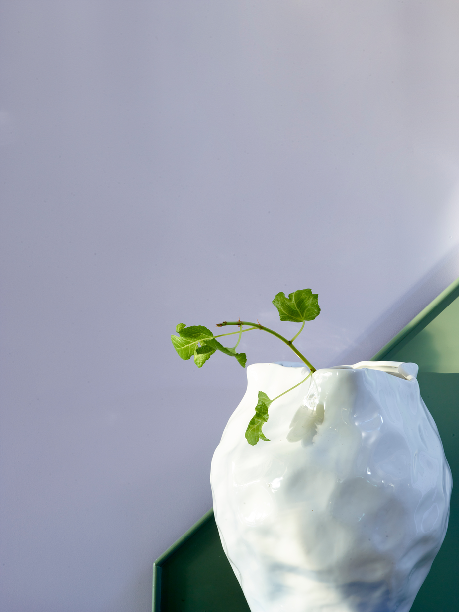 FR2005 Fløyelsmyk 15.jpg