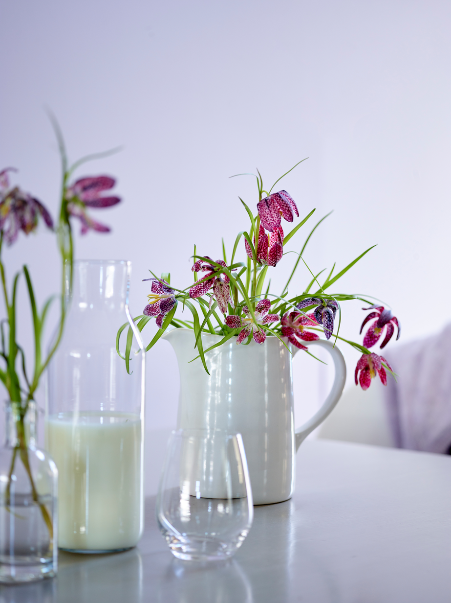 FR2005 Fløyelsmyk 19.jpg