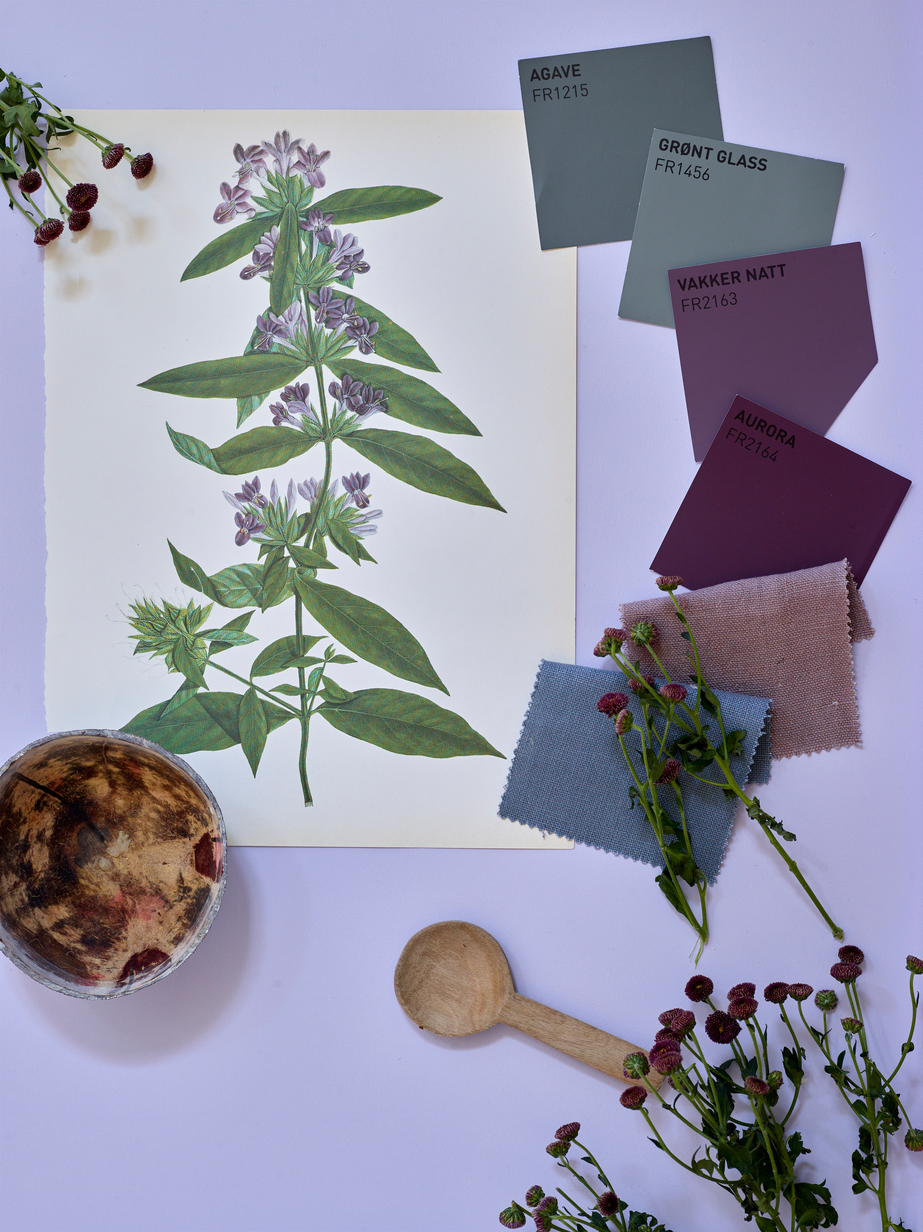 FR2005 Fløyelsmyk kolasj 01.jpg