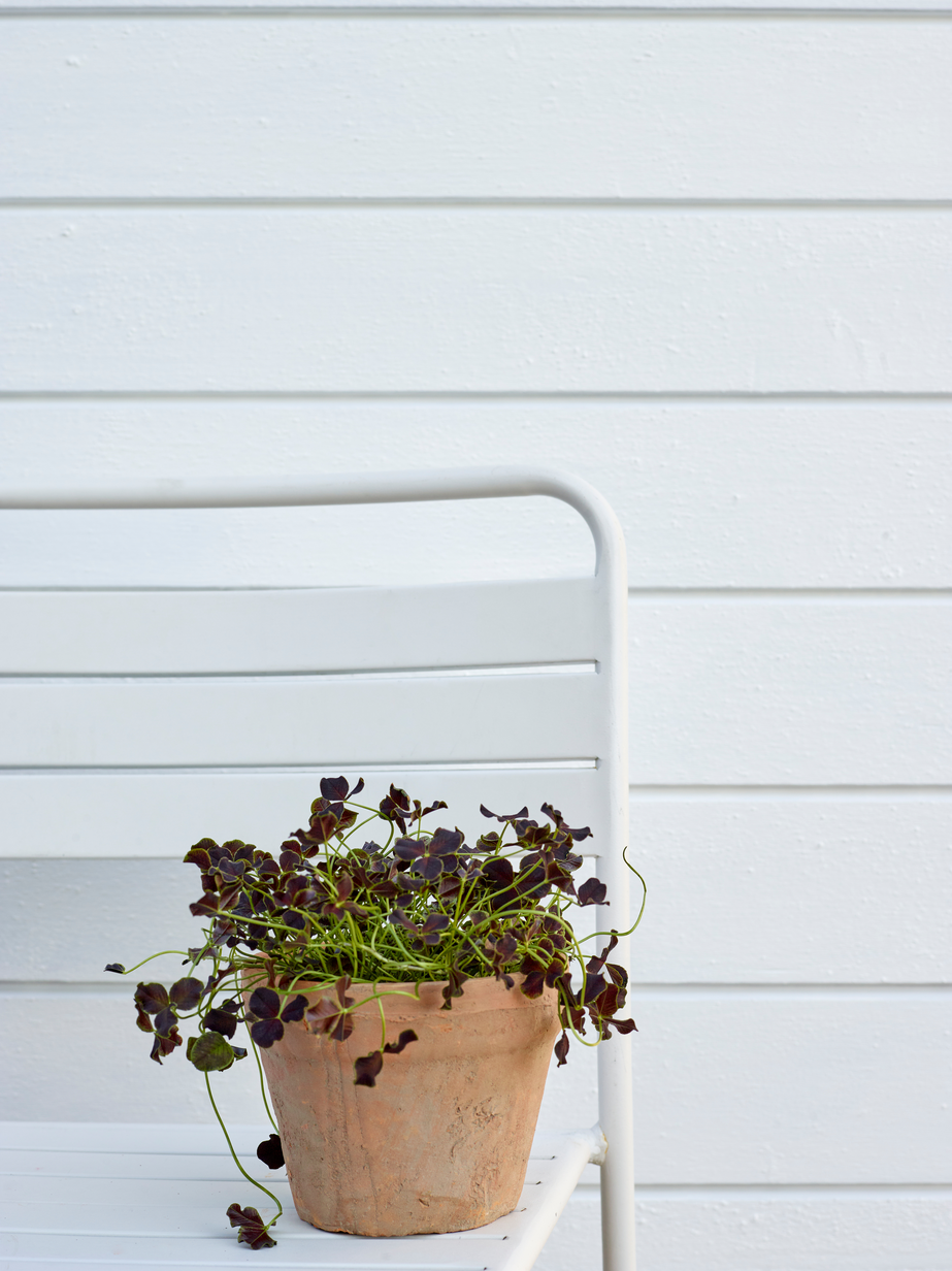 FR5009 Snøfnugg 02.jpg